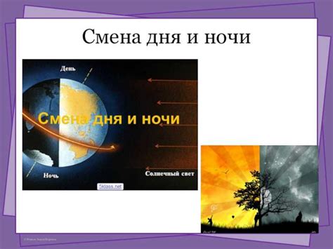 Цикл дня и ночи .